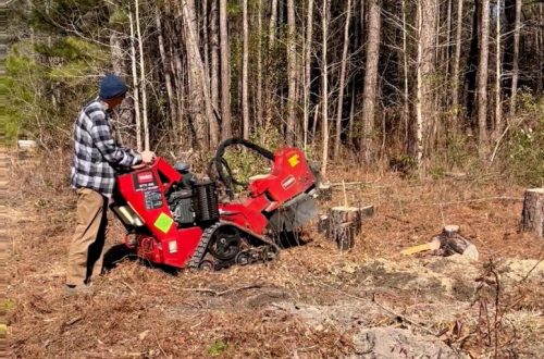 Stump Grinding