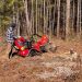 Stump Grinding