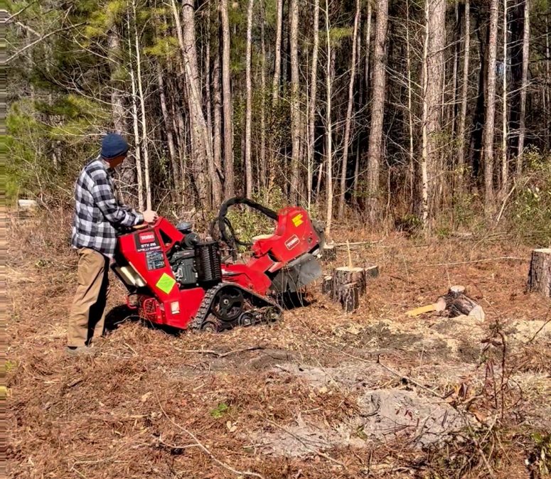 Stump Grinding